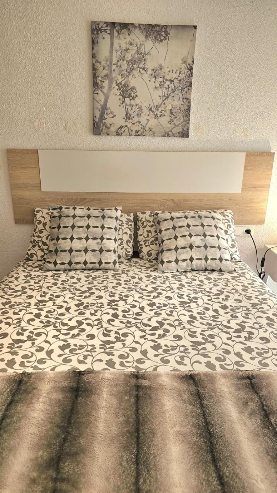 Ideal Holiday Apartment One Bedroom City Center マラガ エクステリア 写真